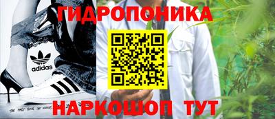 скорость Будённовск