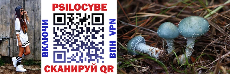 Галлюциногенные грибы Magic Shrooms Можайск