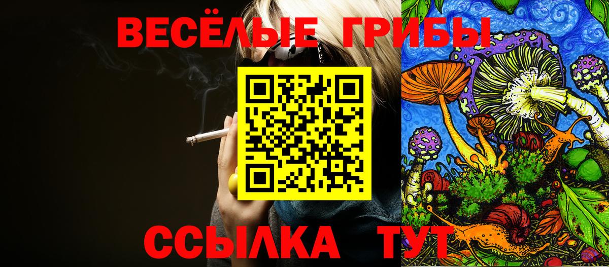Галлюциногенные грибы MAGIC MUSHROOMS Можайск