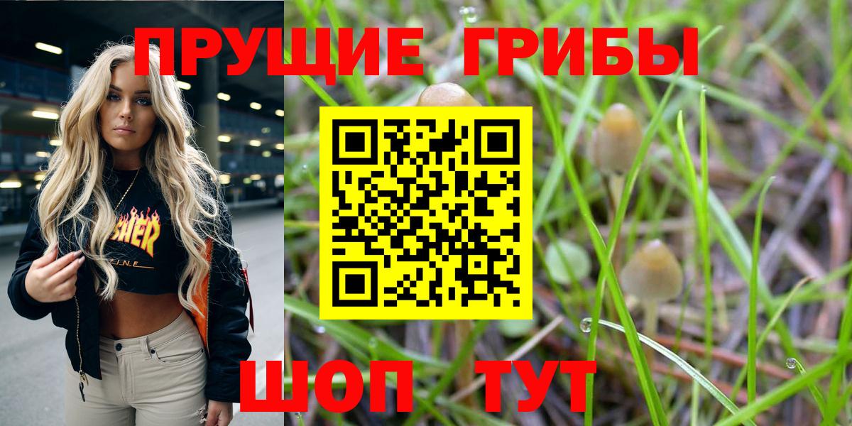 Можайск  как найти закладки  Вход с VPN  Псилоцибиновые грибы мицелий 