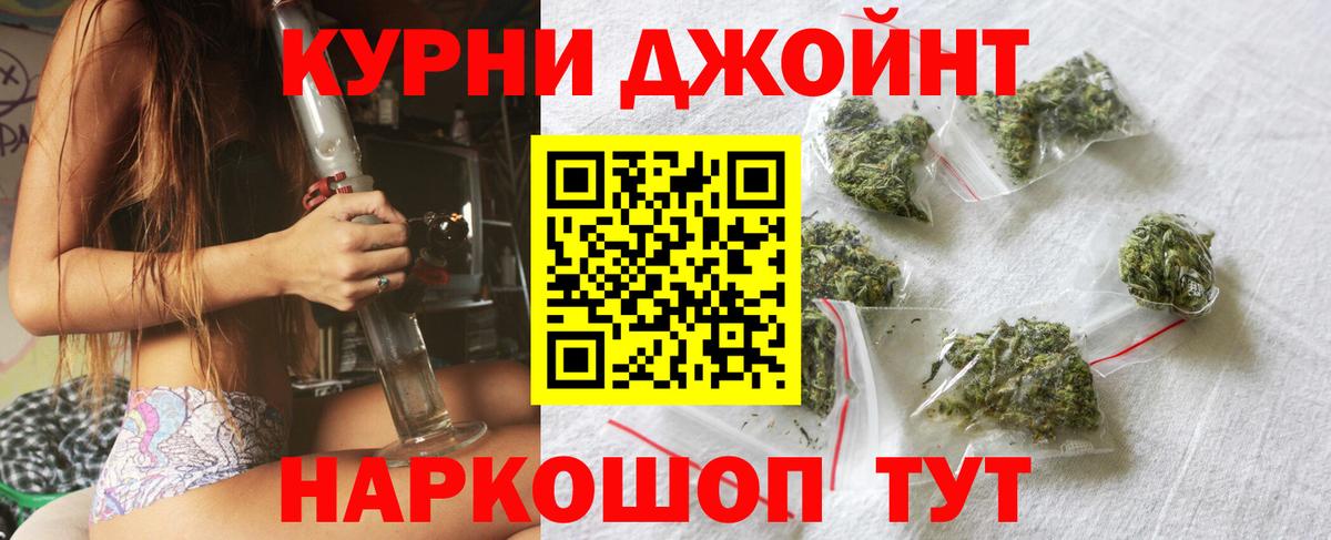 Конопля сатива Можайск